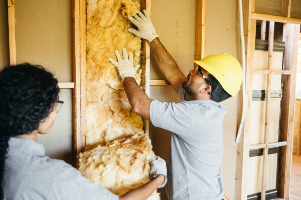 Best Commercial Insulation Contractor  in Foxfire, NC